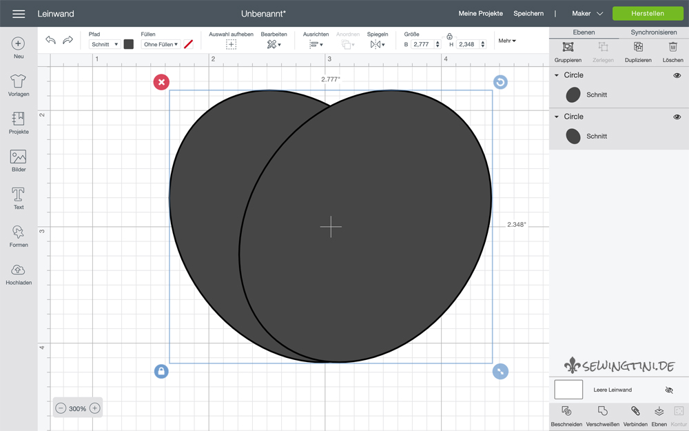 Cricut Design Space Zoom